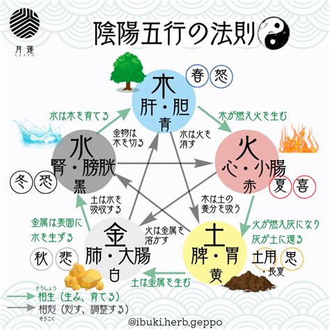 陰火五行|陰陽五行